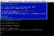 Dialog showing commands in DOSBox so far